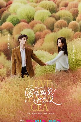 呈贡网站优化渠道哪家好